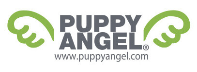 Puppy Angel