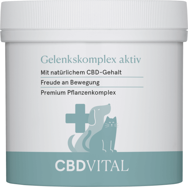 CBD-Vital Gelenkskomplex aktiv (100 g)