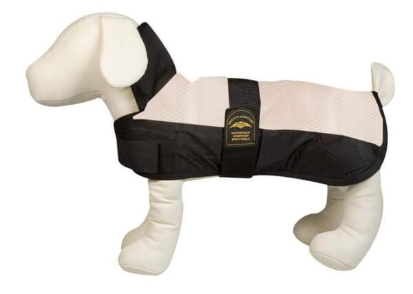 KA EISBAER Hundejacke beige