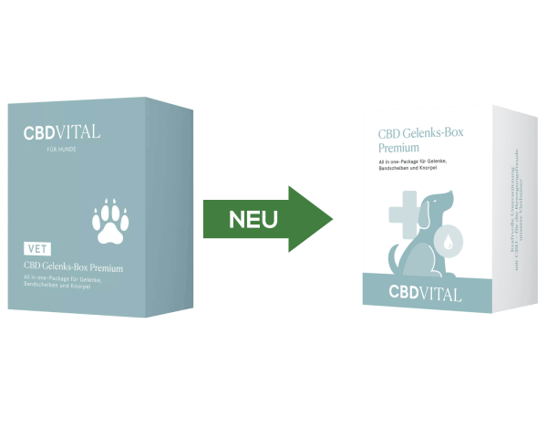 CBD-Vital VET Gelenks-Box Premium