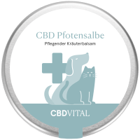 MHD 02.2024 CBD-Vital Pfotensalbe (90 g) MHD 02.2024 CBD-Vital Pfotensalbe (90 g)